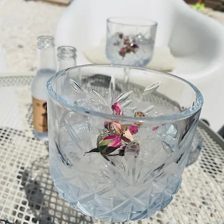 Апартаменты Mila Воднян