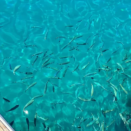 Апартаменты Mila Воднян