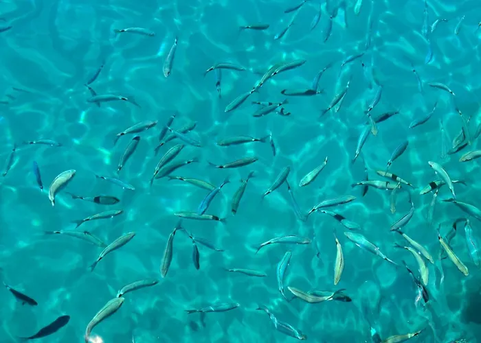 아파트 Mila 보드냔